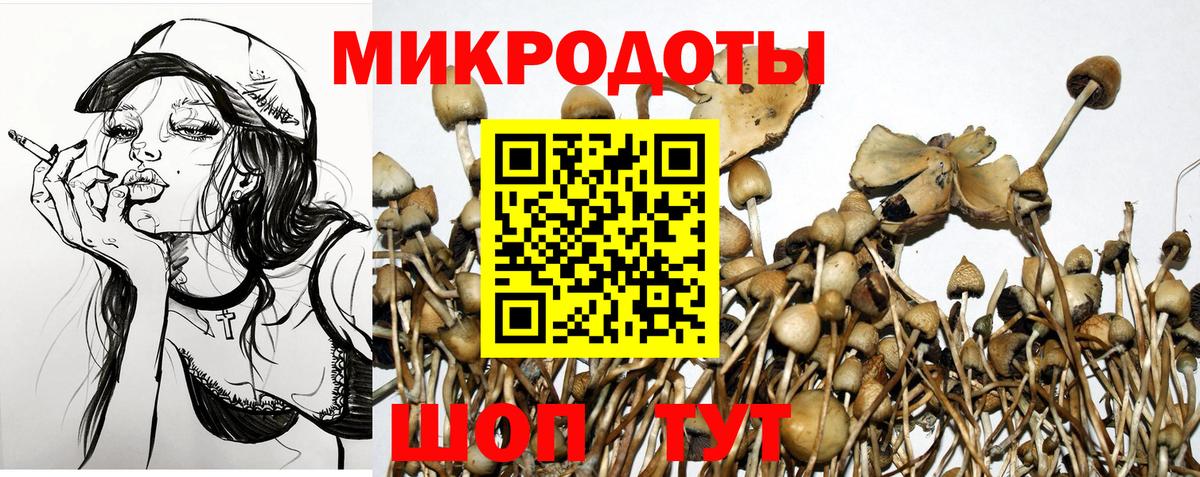 Нефтекумск  как найти   Вход с VPN  Галлюциногенные грибы мухоморы 