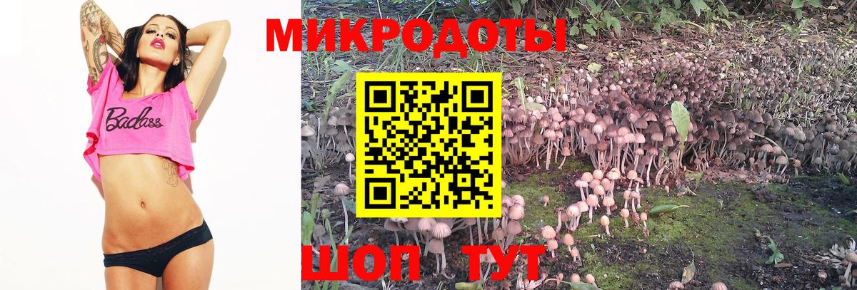 Галлюциногенные грибы GOLDEN TEACHER Нефтекумск