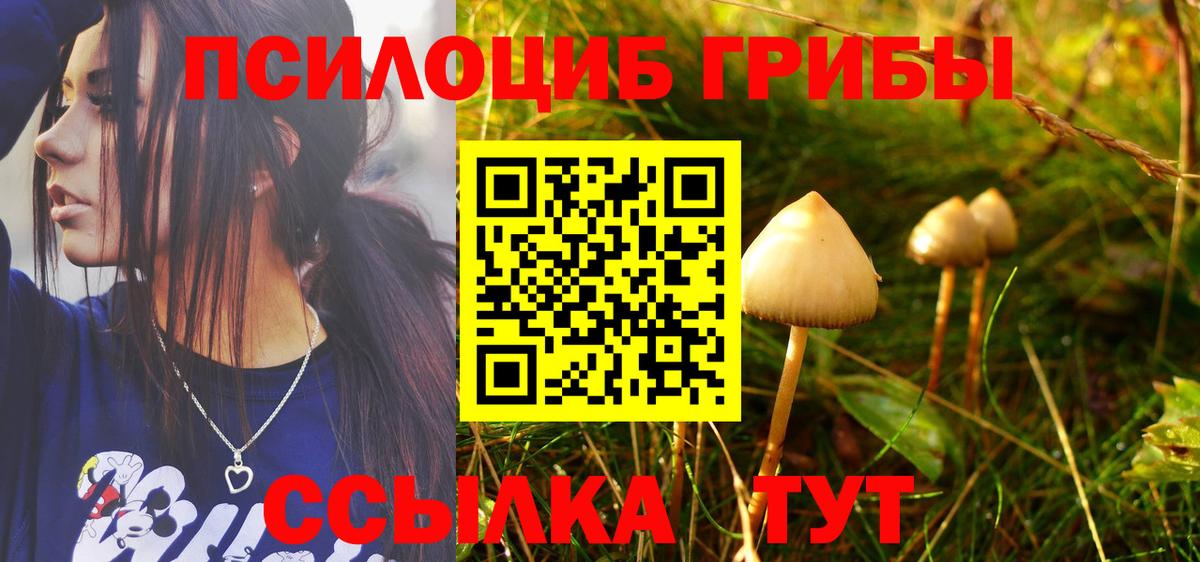 Галлюциногенные грибы мухоморы Нефтекумск